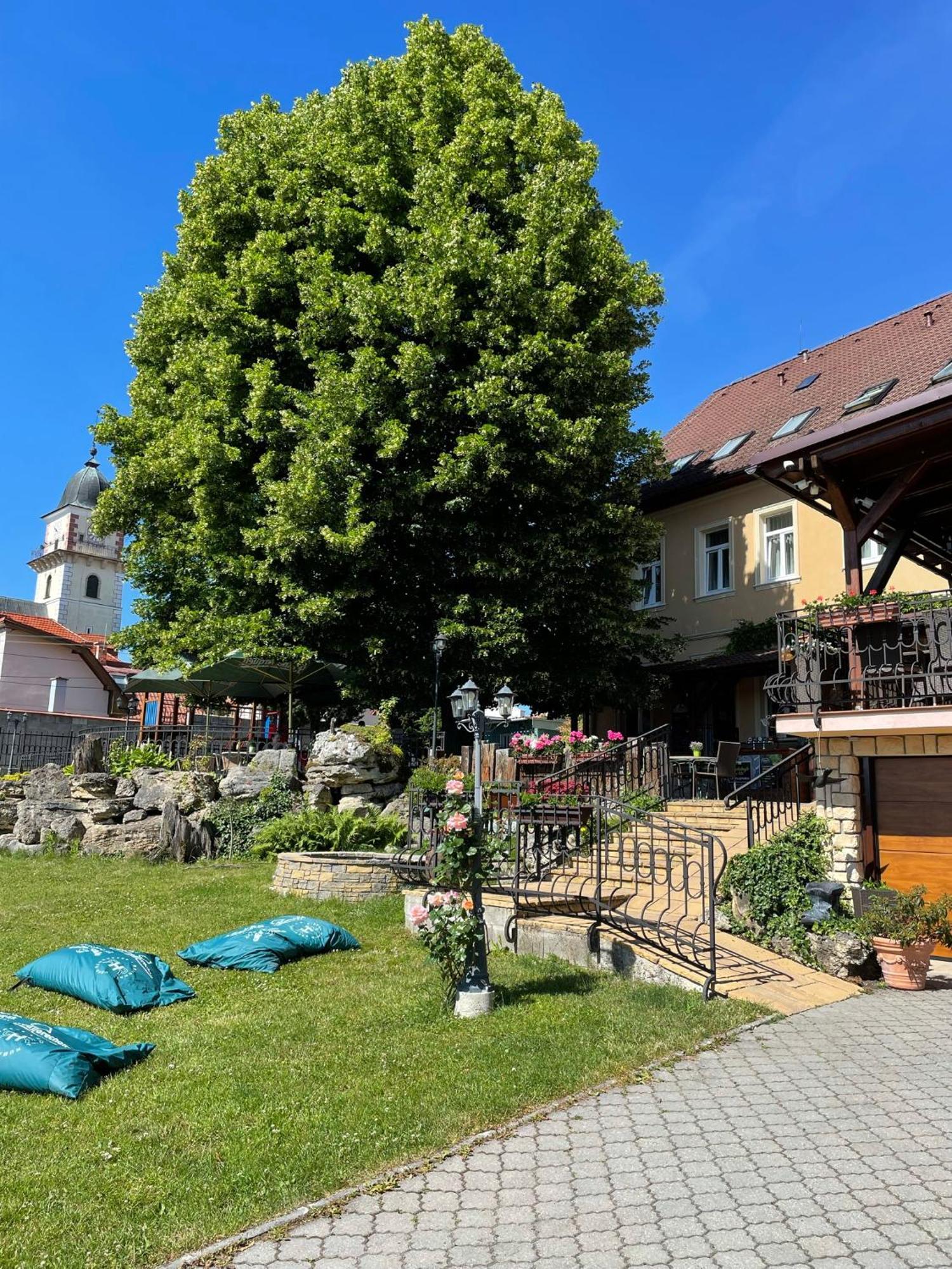 Hotel Lipa Бойнице Екстериор снимка